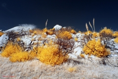 Anza-Borrego Desert, San Diego, California