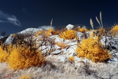 Anza-Borrego Desert, San Diego, California