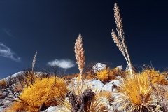 Anza-Borrego Desert, San Diego, California