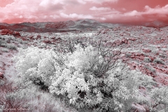 Anza-Borrego Desert, San Diego, California