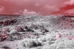 Anza-Borrego Desert, San Diego, California