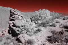 Anza-Borrego Desert, San Diego, California