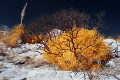 Anza-Borrego Desert, San Diego, California