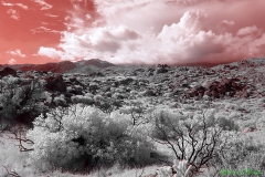 Anza-Borrego Desert, San Diego, California