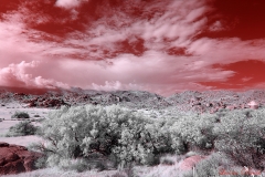 Anza-Borrego Desert, San Diego, California