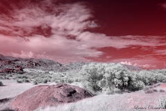 Anza-Borrego Desert, San Diego, California