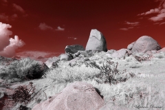 Anza-Borrego Desert, San Diego, California