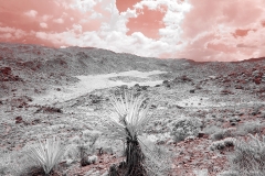 Anza-Borrego Desert, San Diego, California