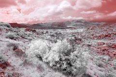 Anza-Borrego Desert, San Diego, California