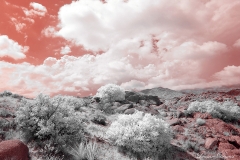 Anza-Borrego Desert, San Diego, California