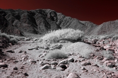 Anza-Borrego Desert, San Diego, California