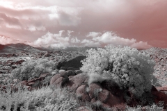 Anza-Borrego Desert, San Diego, California