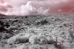 Anza-Borrego Desert, San Diego, California