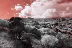 Anza-Borrego Desert, San Diego, California