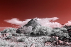 Anza-Borrego Desert, San Diego, California