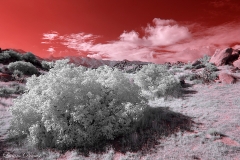 Anza-Borrego Desert, San Diego, California