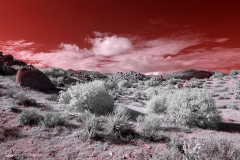 Anza-Borrego Desert, San Diego, California