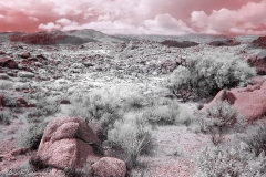 Anza-Borrego Desert, San Diego, California