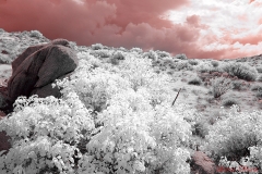 Anza-Borrego Desert, San Diego, California