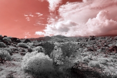 Anza-Borrego Desert, San Diego, California