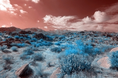 Anza-Borrego Desert, San Diego, California