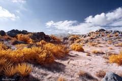 Anza-Borrego Desert, San Diego, California