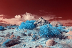 Anza-Borrego Desert, San Diego, California