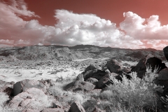 Anza-Borrego Desert, San Diego, California