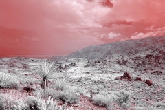 Anza-Borrego Desert, San Diego, California