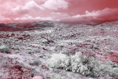 Anza-Borrego Desert, San Diego, California