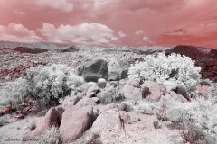 Anza-Borrego Desert, San Diego, California