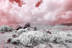 Anza-Borrego Desert, San Diego, California