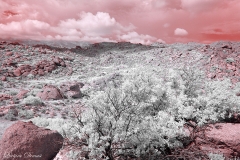 Anza-Borrego Desert, San Diego, California