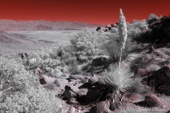 Anza-Borrego Desert, San Diego, California