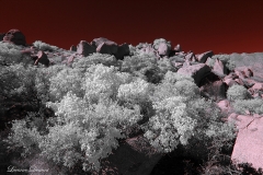 Anza-Borrego Desert, San Diego, California