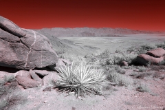 Anza-Borrego Desert, San Diego, California