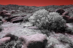 Anza-Borrego Desert, San Diego, California