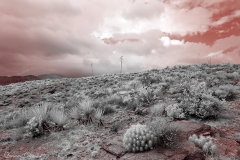 Anza-Borrego Desert, San Diego, California