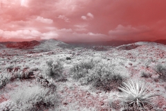 Anza-Borrego Desert, San Diego, California