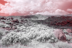 Anza-Borrego Desert, San Diego, California