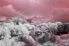 Anza-Borrego Desert, San Diego, California