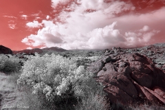 Anza-Borrego Desert, San Diego, California