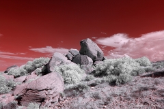 Anza-Borrego Desert, San Diego, California