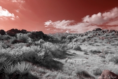 Anza-Borrego Desert, San Diego, California