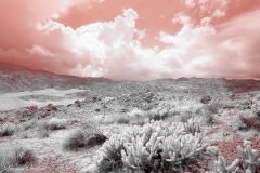 Anza-Borrego Desert, San Diego, California