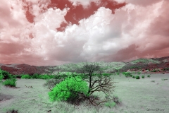 Anza-Borrego Desert, San Diego, California