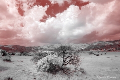 Anza-Borrego Desert, San Diego, California