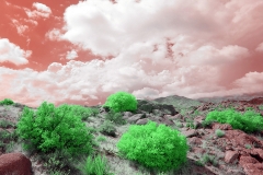 Anza-Borrego Desert, San Diego, California