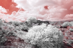 Anza-Borrego Desert, San Diego, California