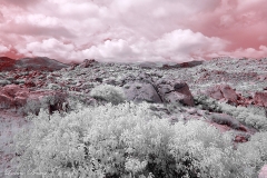 Anza-Borrego Desert, San Diego, California